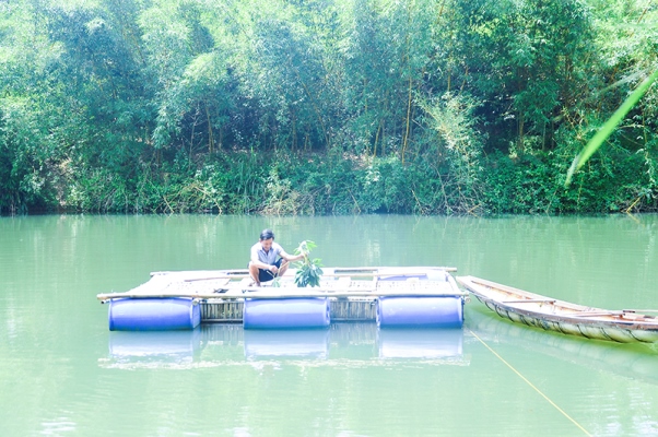 Quảng Trị: Nuôi cá lồng trên sông Lai Phước