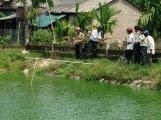 mô hình nuôi cá rô đầu vuông