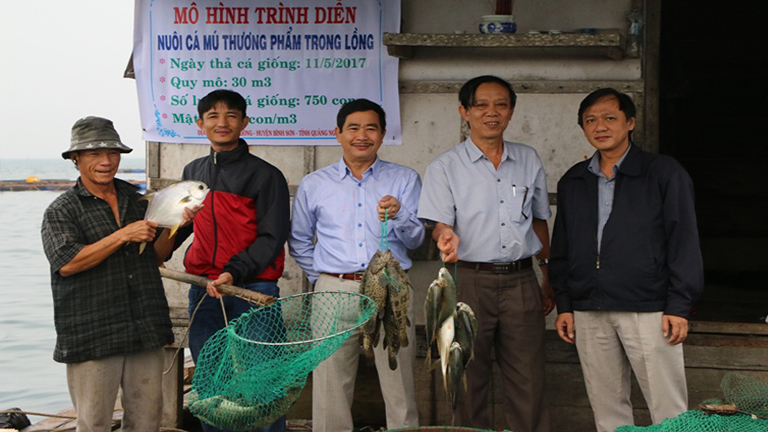 Quảng Ngãi: Nhân rộng mô hình nuôi cá mú trong lồng