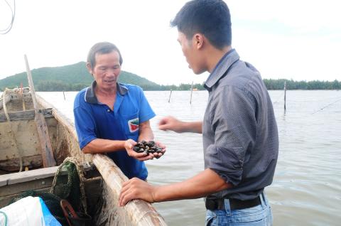 Mô hình nuôi ngao