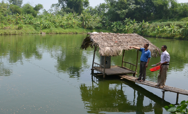 mô hình nuôi thủy sản
