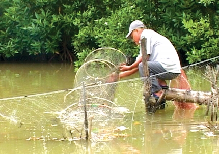 mo hinh nuoi tom quang canh
