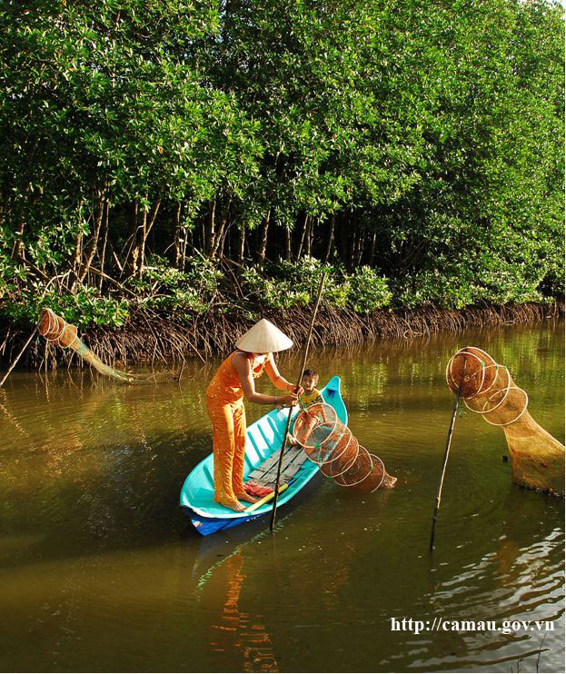 tái cơ cấu ngành tôm ở Cà Mau