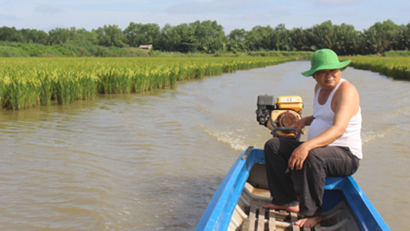 Vươn lên làm giàu từ mô hình tôm - lúa