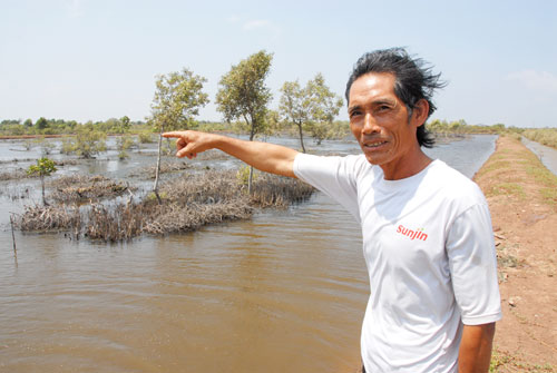 Mô hình tôm - rừng