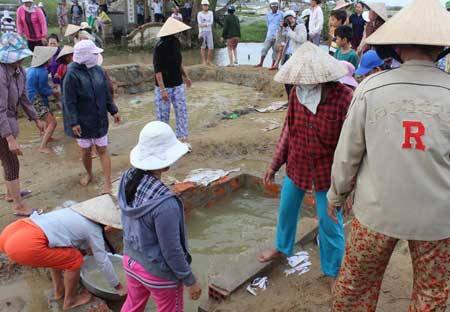 mộ rùa giả