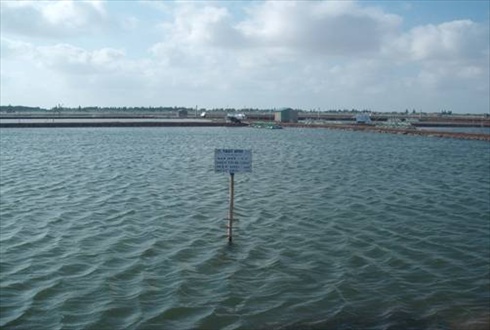 mô hình tôm viet Gap