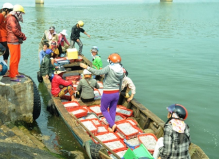 mua bán hải sản