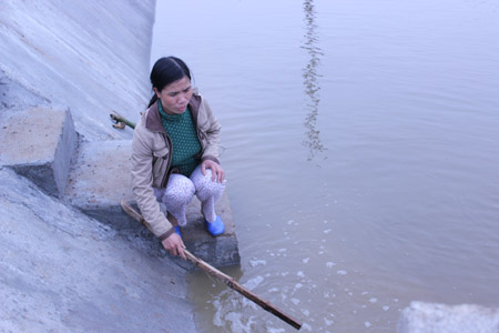 mua cá giống