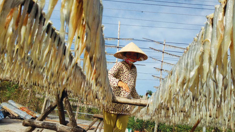 Mùa cá khoai đón Tết