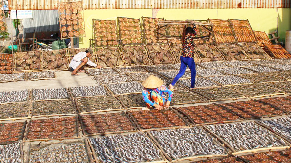 cá mặn, mua cá, chế biến cá, làm khô mặn