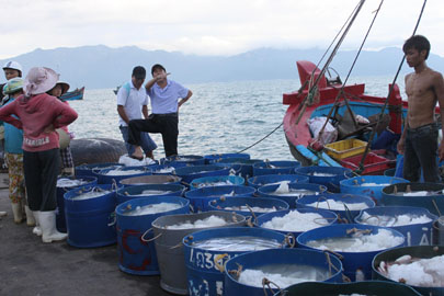 Hai thương lái Trung Quốc (giữa) mua cá tại cảng cá Vĩnh Lương,TP.Nha Trang, Khánh Hòa.