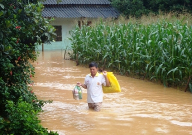 mưa lớn trên diện rộng