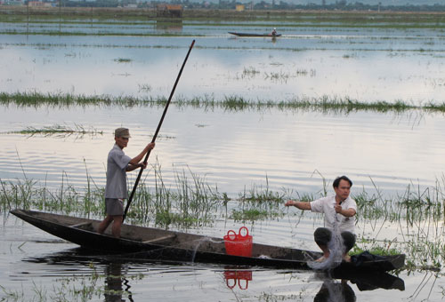 Mưa xuống, người dân vùng nước nổi sống nhờ bắt cá, tôm