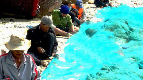 Ngư dân Mỹ An trúng tôm hùm giống