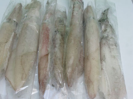 mực đông lạnh