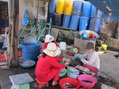 Cơ sở bà Phu bị đình chỉ - Ảnh: Chi cục phát triển nông thôn và quản lý chất lượng&nbsp;&nbsp;nông lâm thủy sản cung cấp