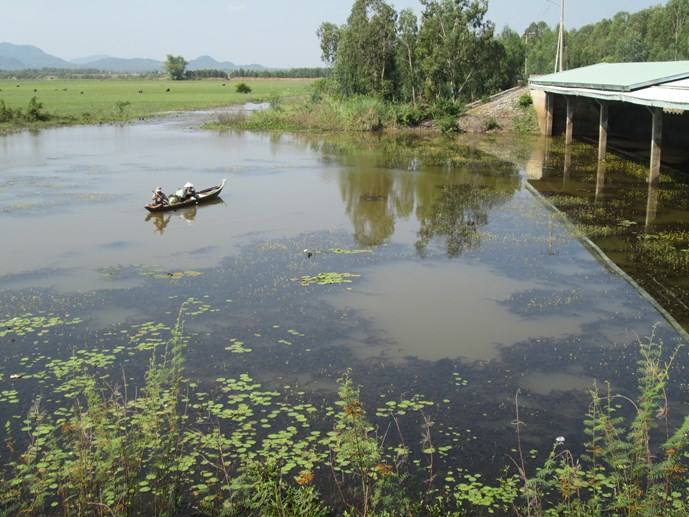 mực nước thấp