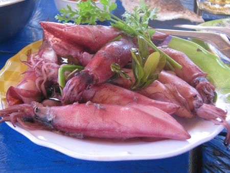 mực ống