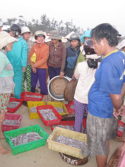 khai thác mực