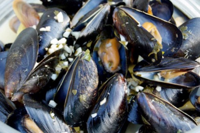mussel - ireland
