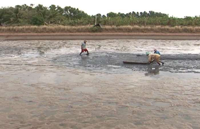 Sóc Trăng: Siết chặt việc xả bùn thải ra sông