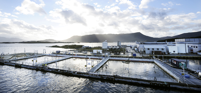 hệ thông nuôi thủy sản na uy