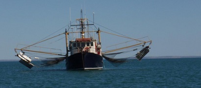 nghề cá Australia