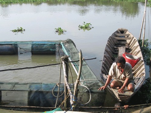 Ông Bảy Lưới - sống với nghề chà gần hết cuộc đời