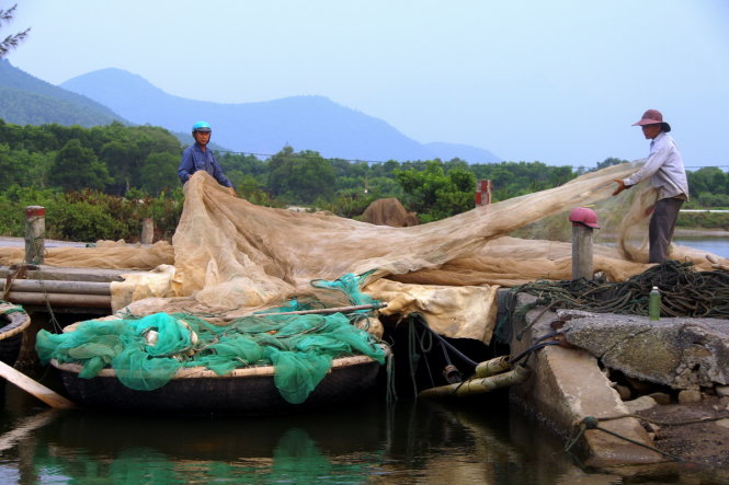 Hồi hương bám biển