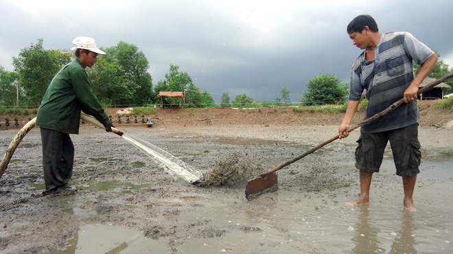 nghe nuoi tom song thi vai