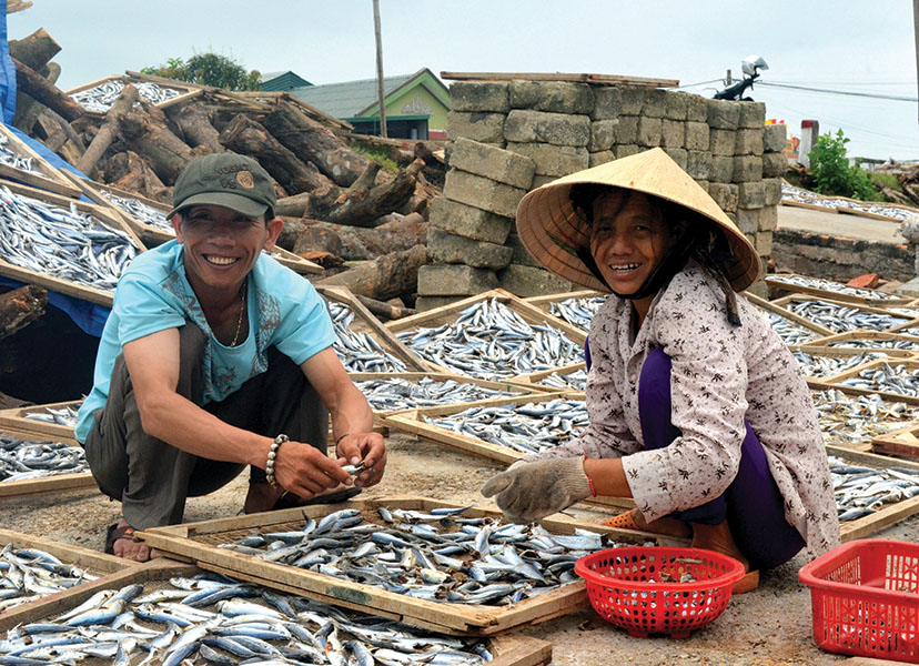 nghề sơ chế cá