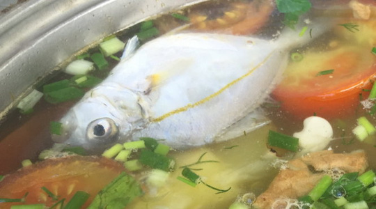 cá lẫu