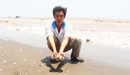 nghêu xuất khẩu