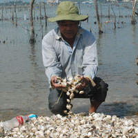 Theo người dân, nước thải từ các nhà máy thuộc KCN dịch vụ thủy sản Thọ Quang đã gây ô nhiễm khiến nghêu, cá chết.