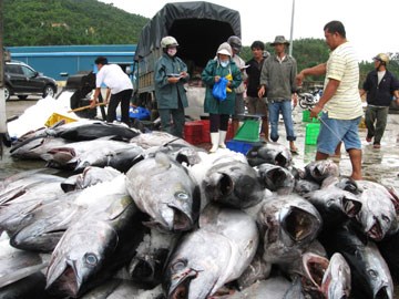 nghiệp đoàn nghề cá thứ 5