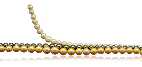 Ba loại ngọc trai biển với 3 màu sắc tương ứng đặc trưng