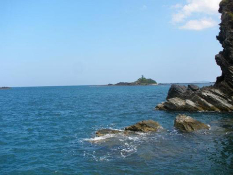 ngôi nhà cho loài thủy sinh