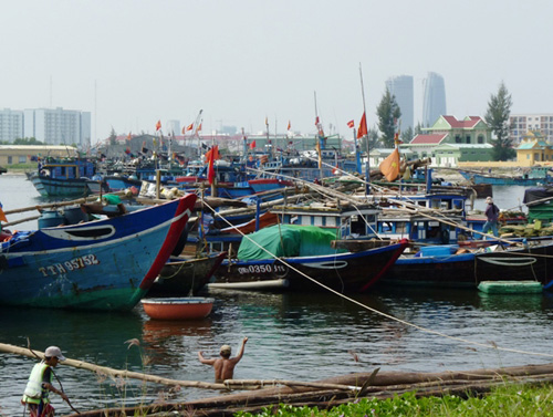 ngư dân Đà Nẵng