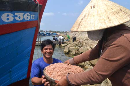 Ngư dân Phổ Quang vui vì ruốc được mùa, được giá.