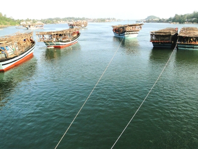 vươn khơi