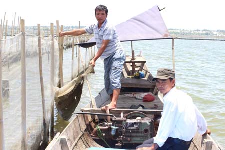 ngư tặc