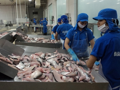 gia ca tra xuogn thap