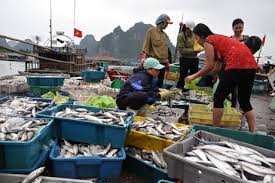 nguồn lợi thủy sản