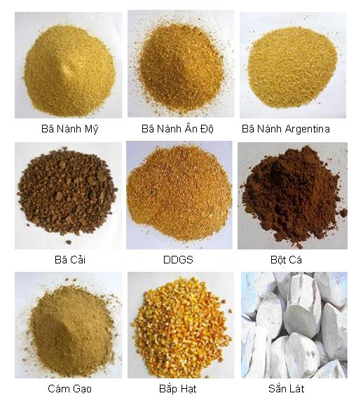 Không sử dụng kháng sinh trong thức ăn thủy sản