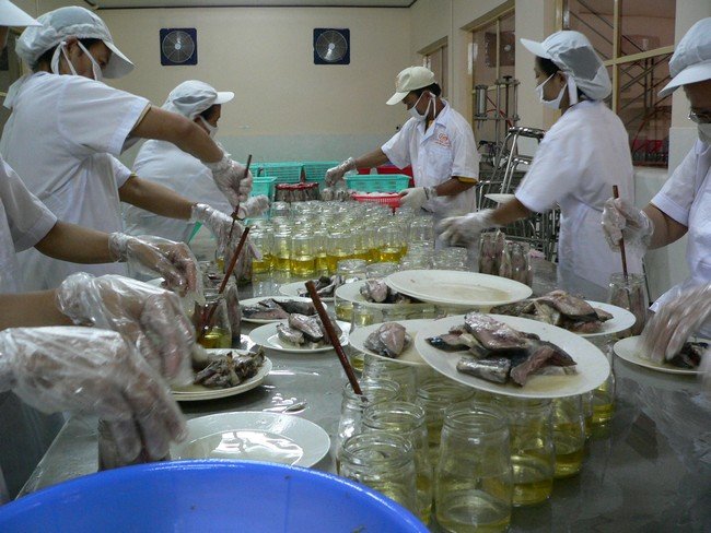 VASEP cho biết, trong thời gian từ năm 2007 đến 2011, đặc biệt 2 năm gần đây, lượng và giá trị nhập khẩu nguyên liệu thủy sản tăng mạnh ở 2 con số. Ảnh: S.N