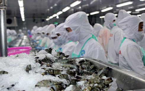 Australia nhập khẩu tôm theo các điều kiện mới