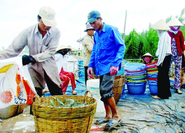 san-xuat-tom-an-toan