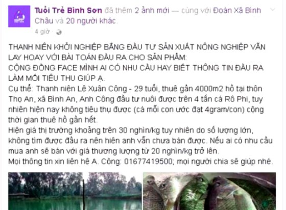 nhờ mạng xã hội 'giải cứu' 8 tấn cá