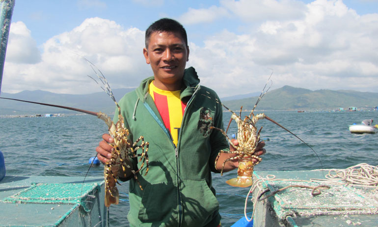 niềm vui được mùa
